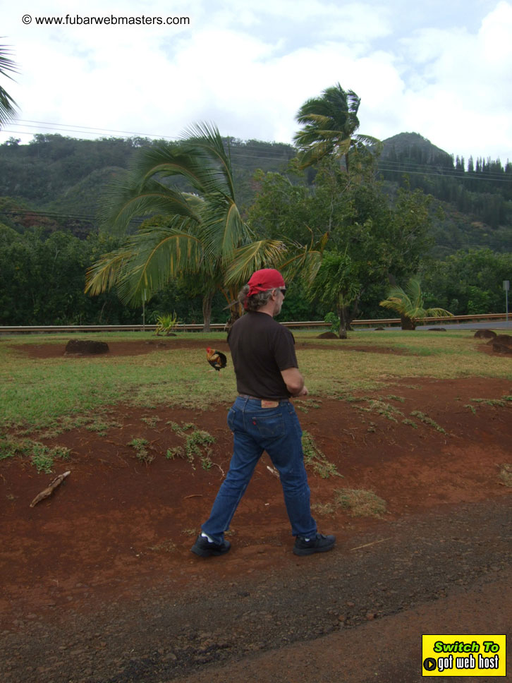 GoodGirl & Baddog's Hawaii Photos