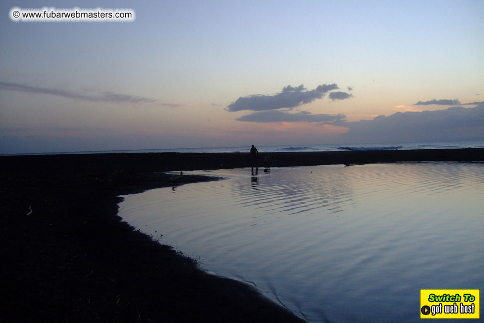 GoodGirl & Baddog's Hawaii Photos