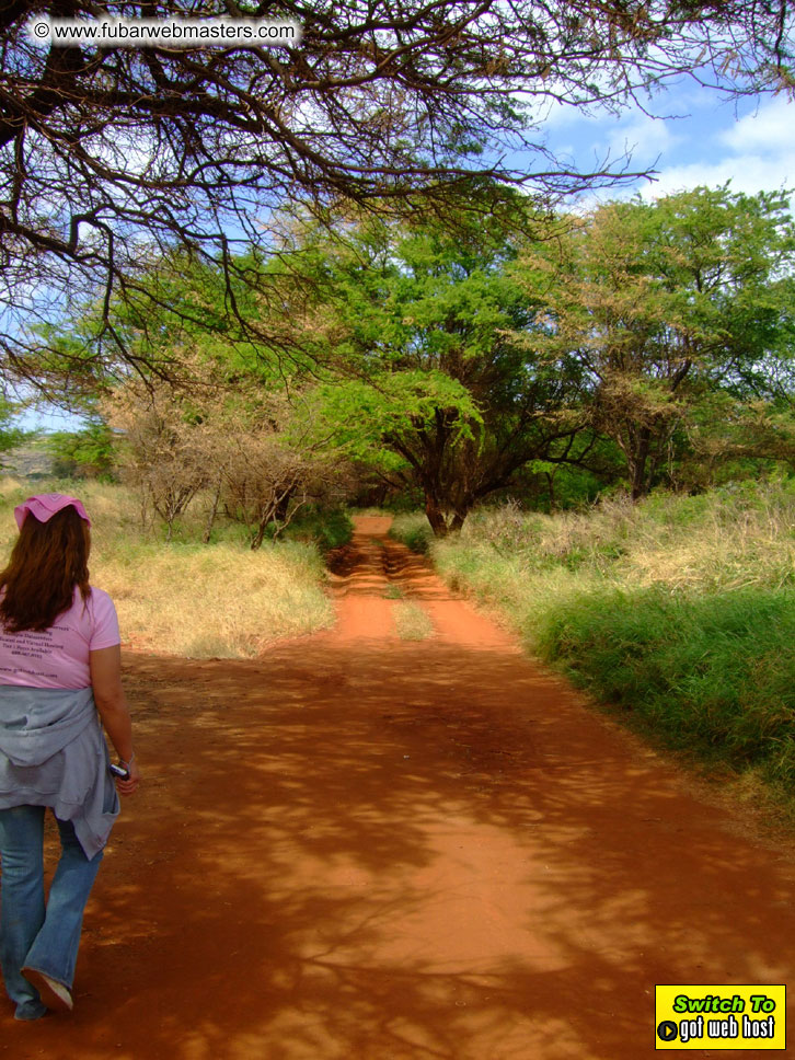 GoodGirl & Baddog's Hawaii Photos