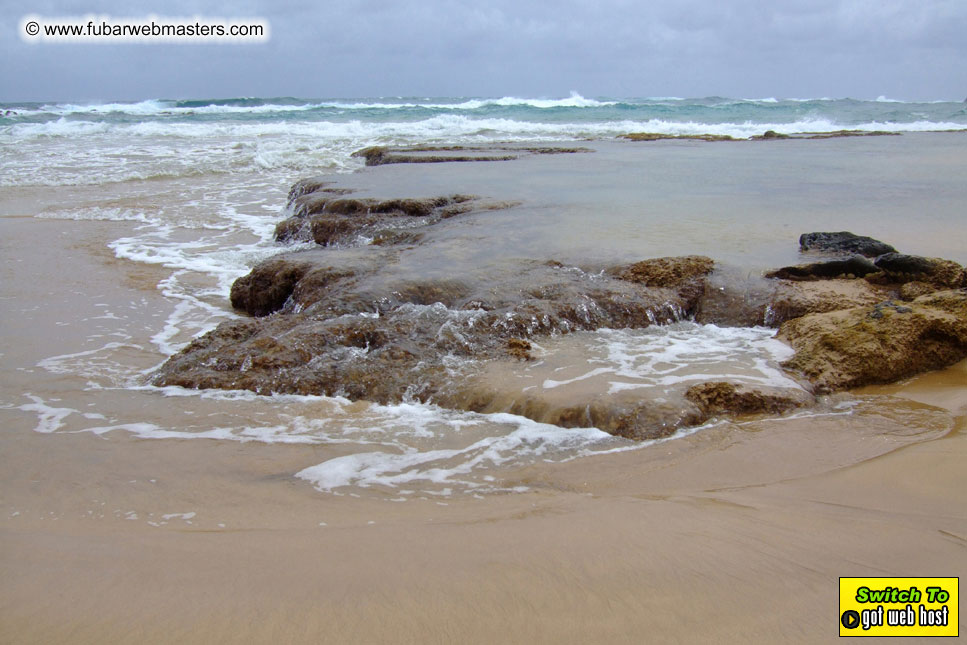 GoodGirl & Baddog's Hawaii Photos