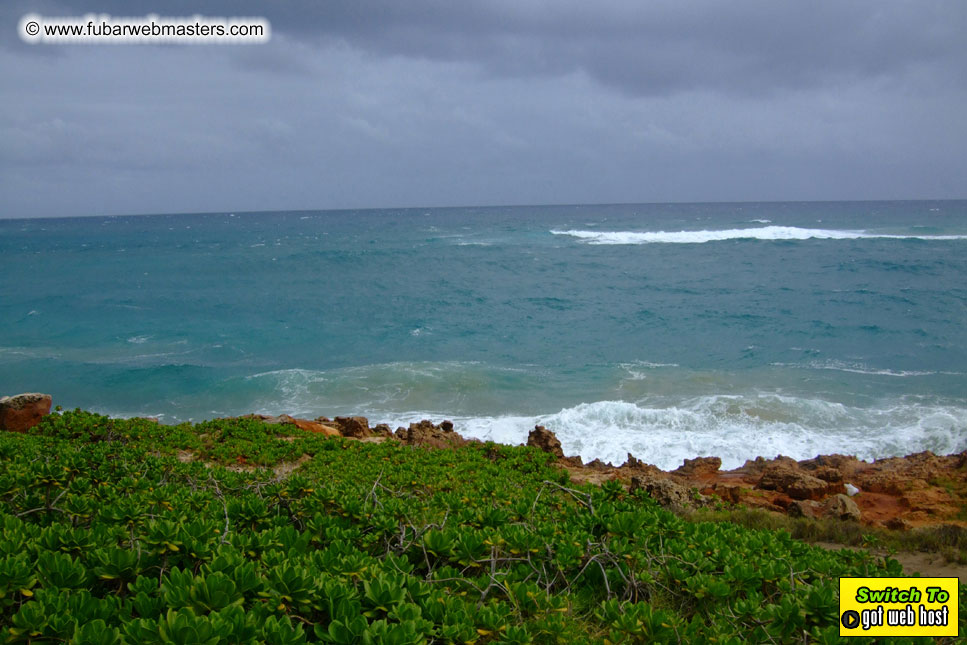 GoodGirl & Baddog's Hawaii Photos