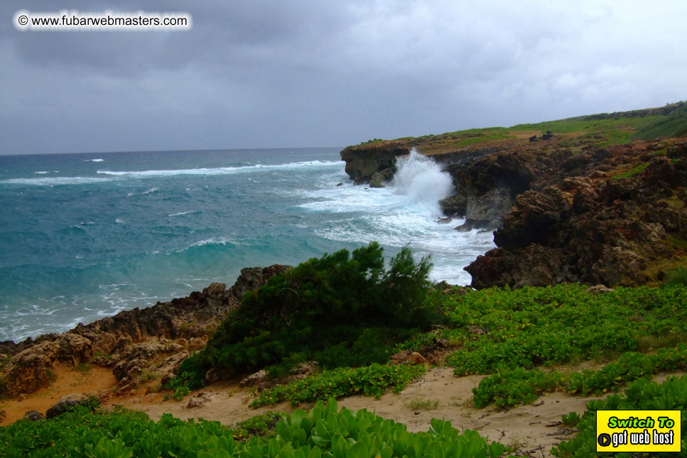 GoodGirl & Baddog's Hawaii Photos