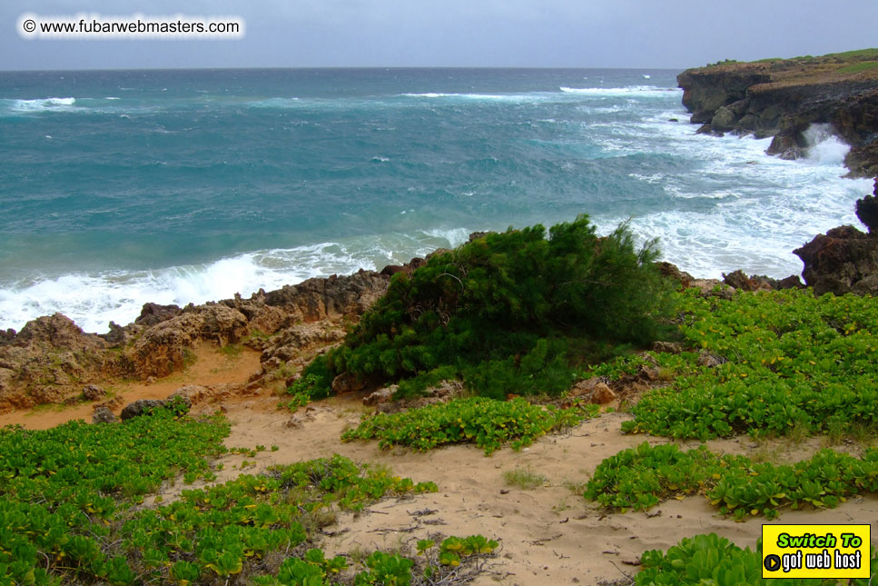 GoodGirl & Baddog's Hawaii Photos