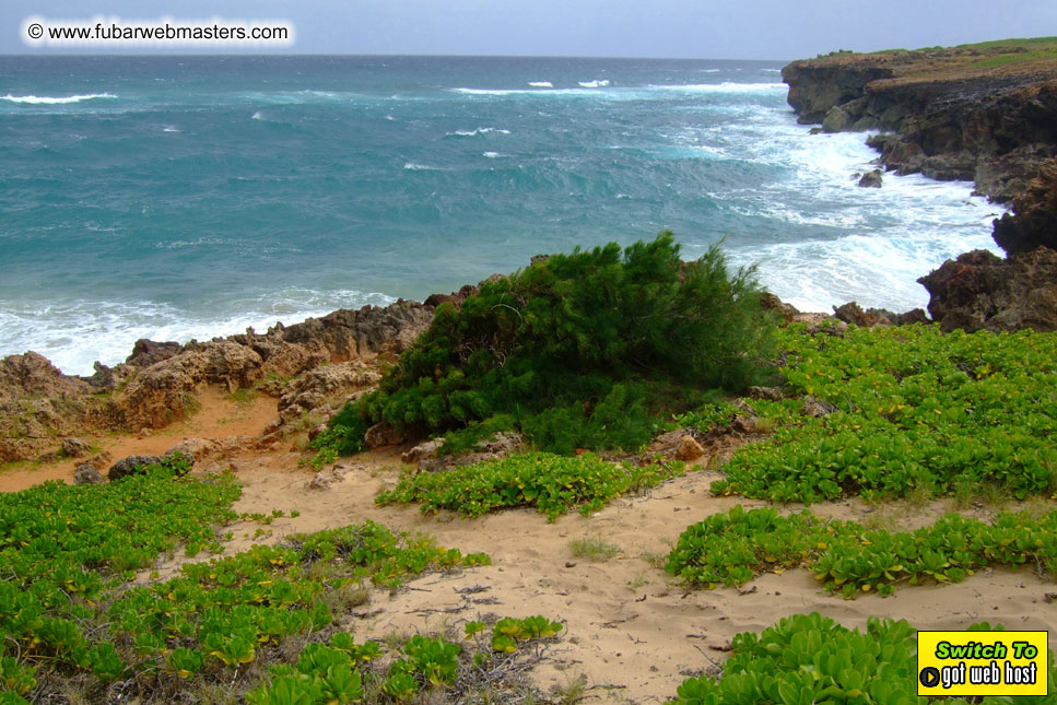 GoodGirl & Baddog's Hawaii Photos