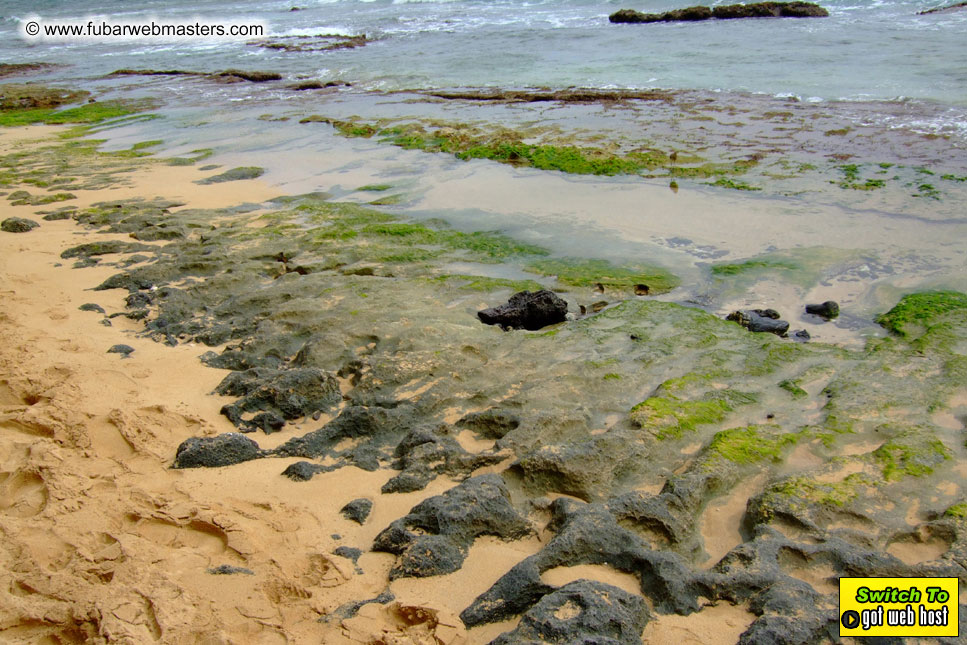 GoodGirl & Baddog's Hawaii Photos