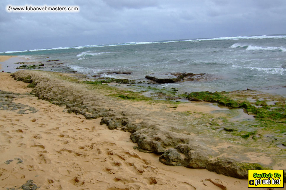 GoodGirl & Baddog's Hawaii Photos