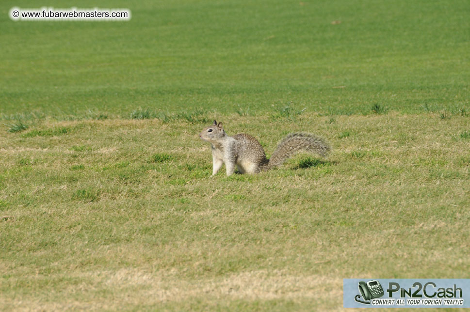 Webmaster Access Golf Tournament