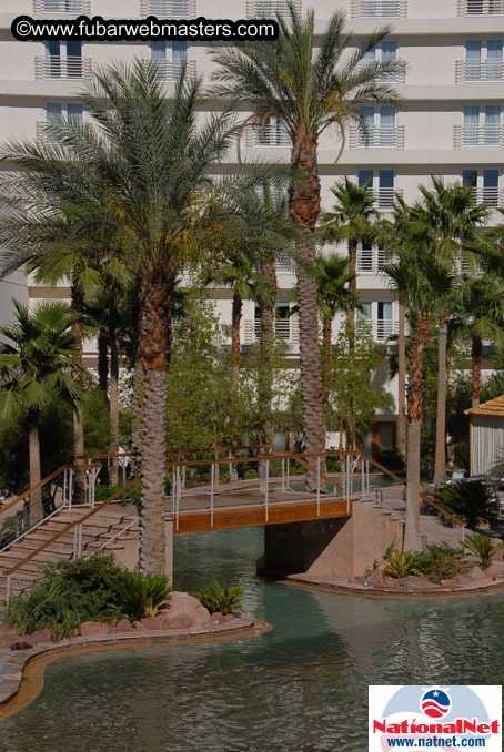 The Hard Rock Pool and Cabanas