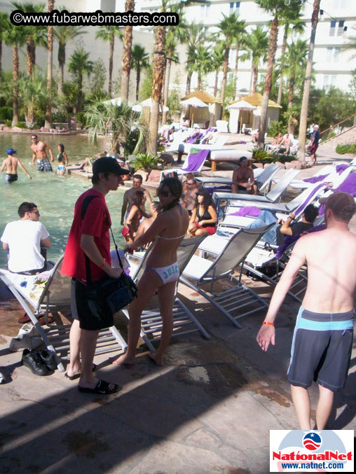 The Hard Rock Pool and Cabanas