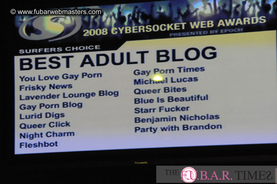 the 8th Annual Cybersocket Web Awards