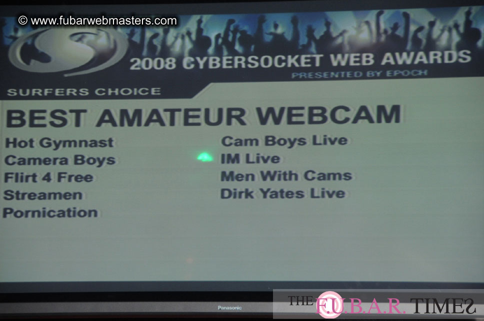 the 8th Annual Cybersocket Web Awards