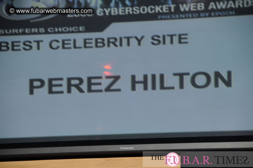 the 8th Annual Cybersocket Web Awards