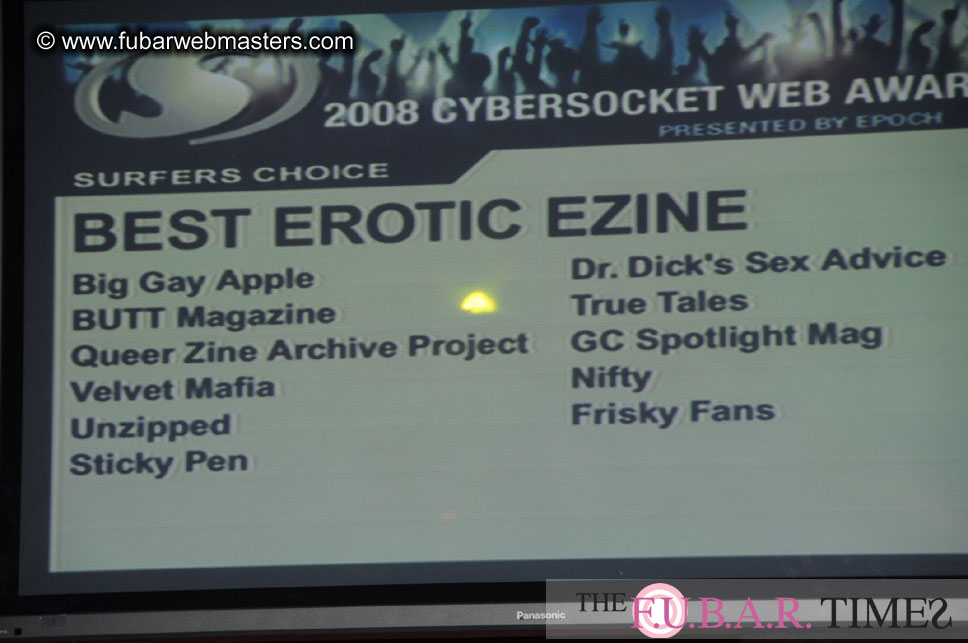 the 8th Annual Cybersocket Web Awards