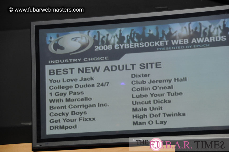 the 8th Annual Cybersocket Web Awards