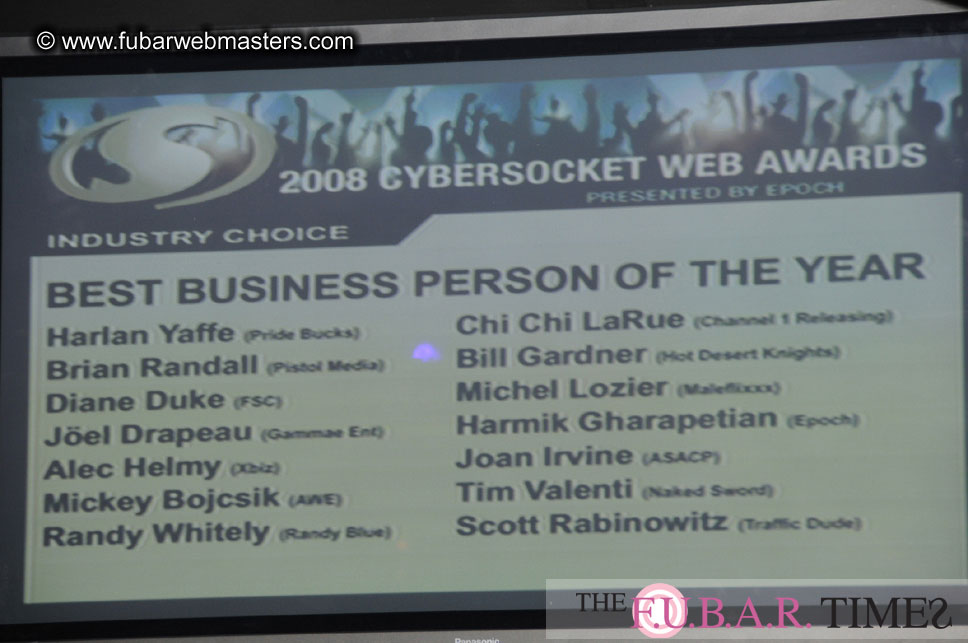 the 8th Annual Cybersocket Web Awards