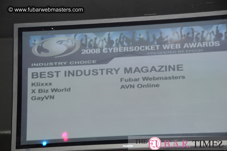 the 8th Annual Cybersocket Web Awards