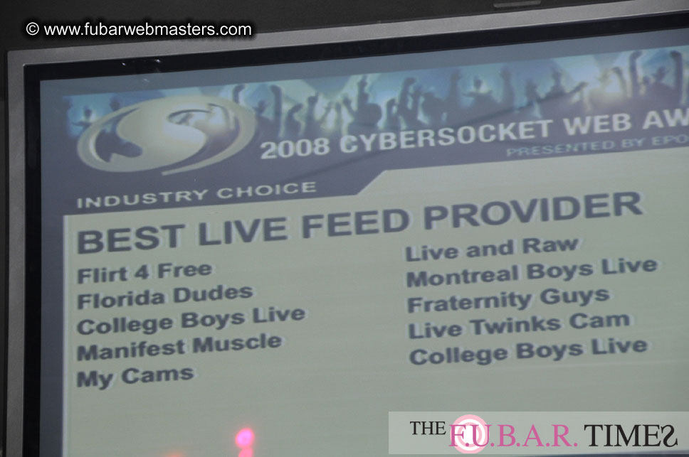 the 8th Annual Cybersocket Web Awards