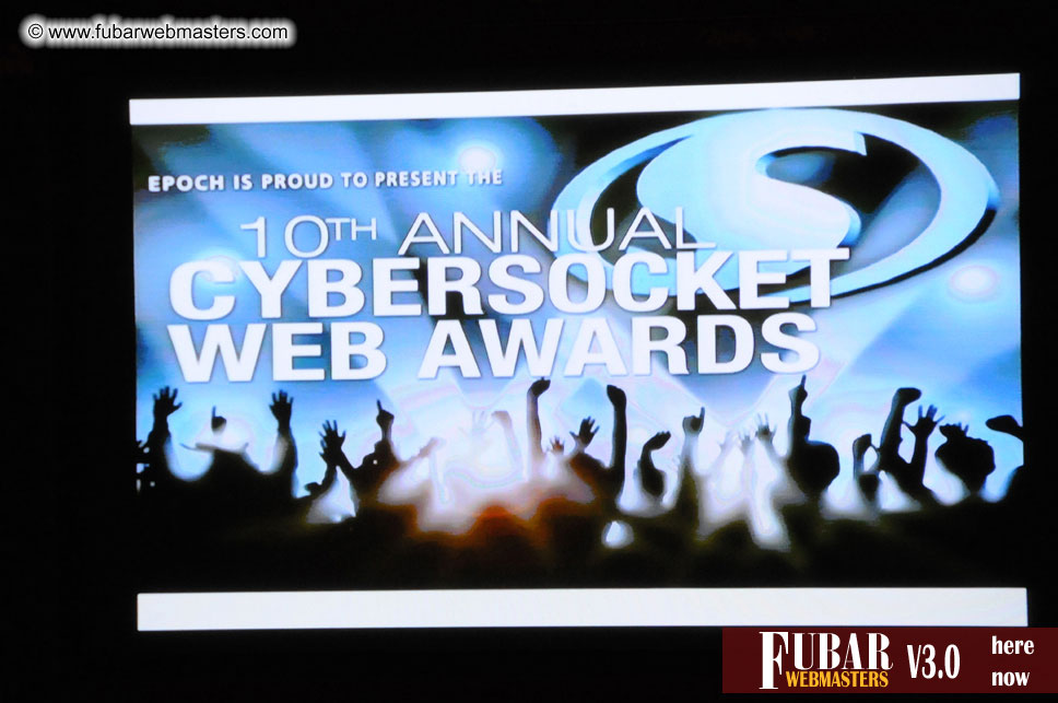 2010 Cybersocket Web Awards