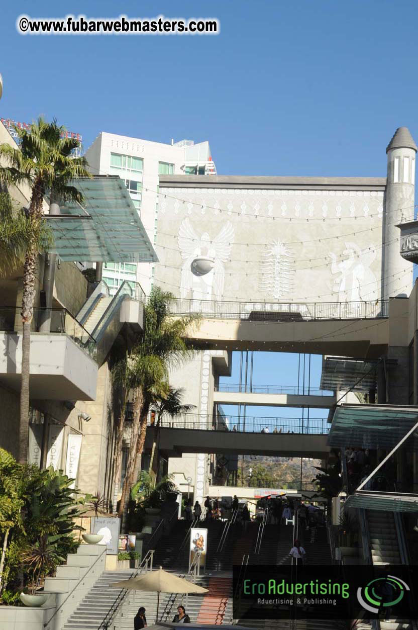 Hollywood Double Decker Bus Tour