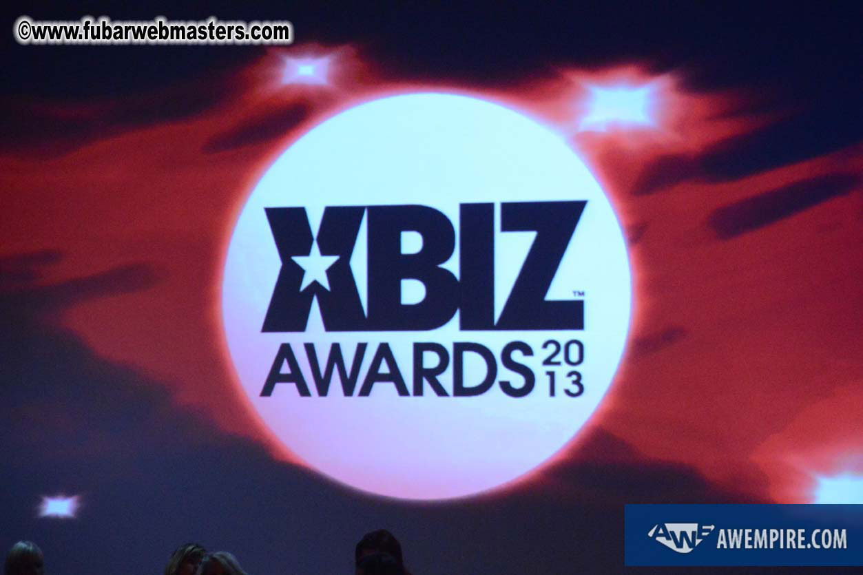 XBIZ Awards 2013