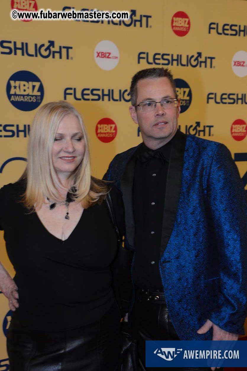 XBIZ Awards 2013