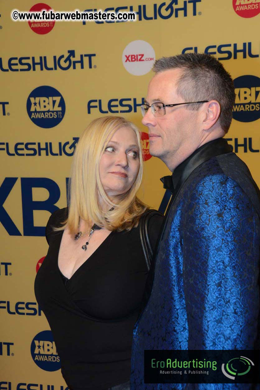 XBIZ Awards 2013