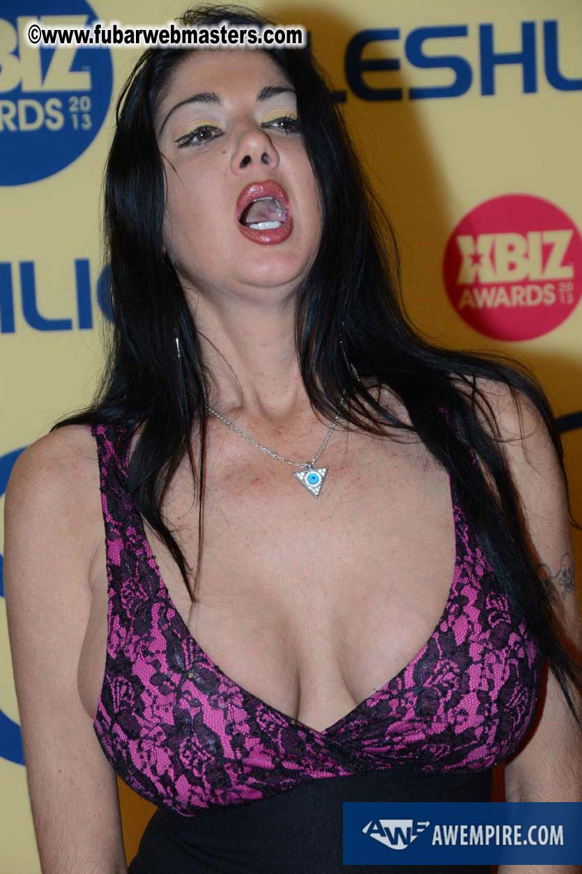 XBIZ Awards 2013