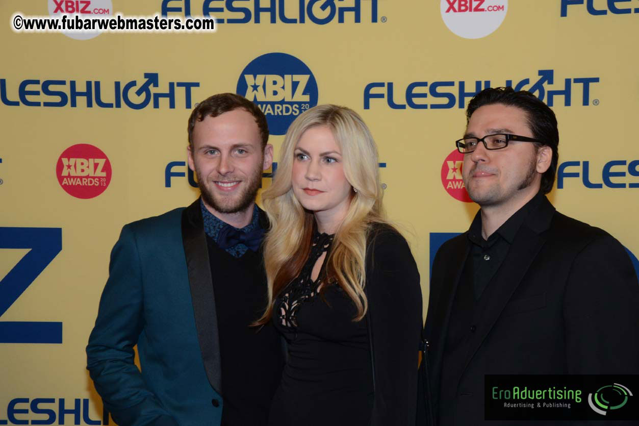 XBIZ Awards 2013