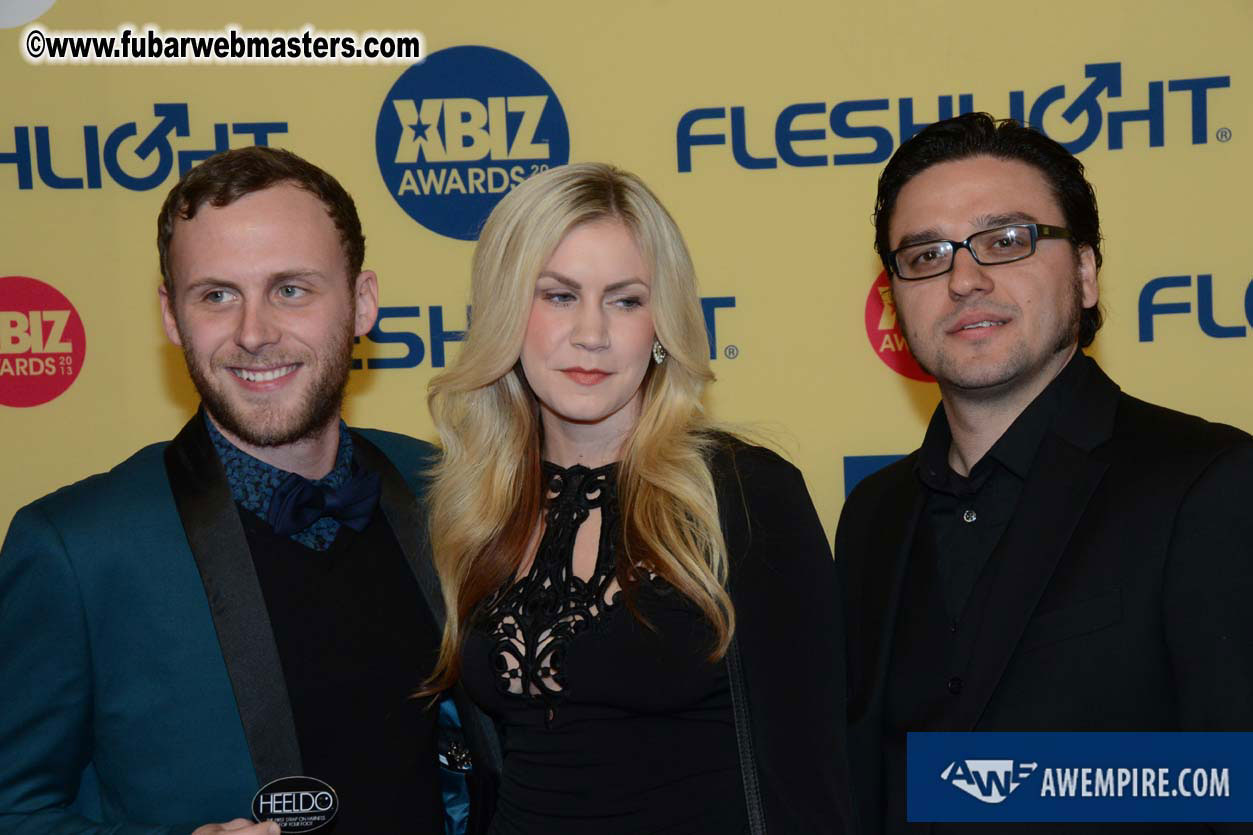 XBIZ Awards 2013