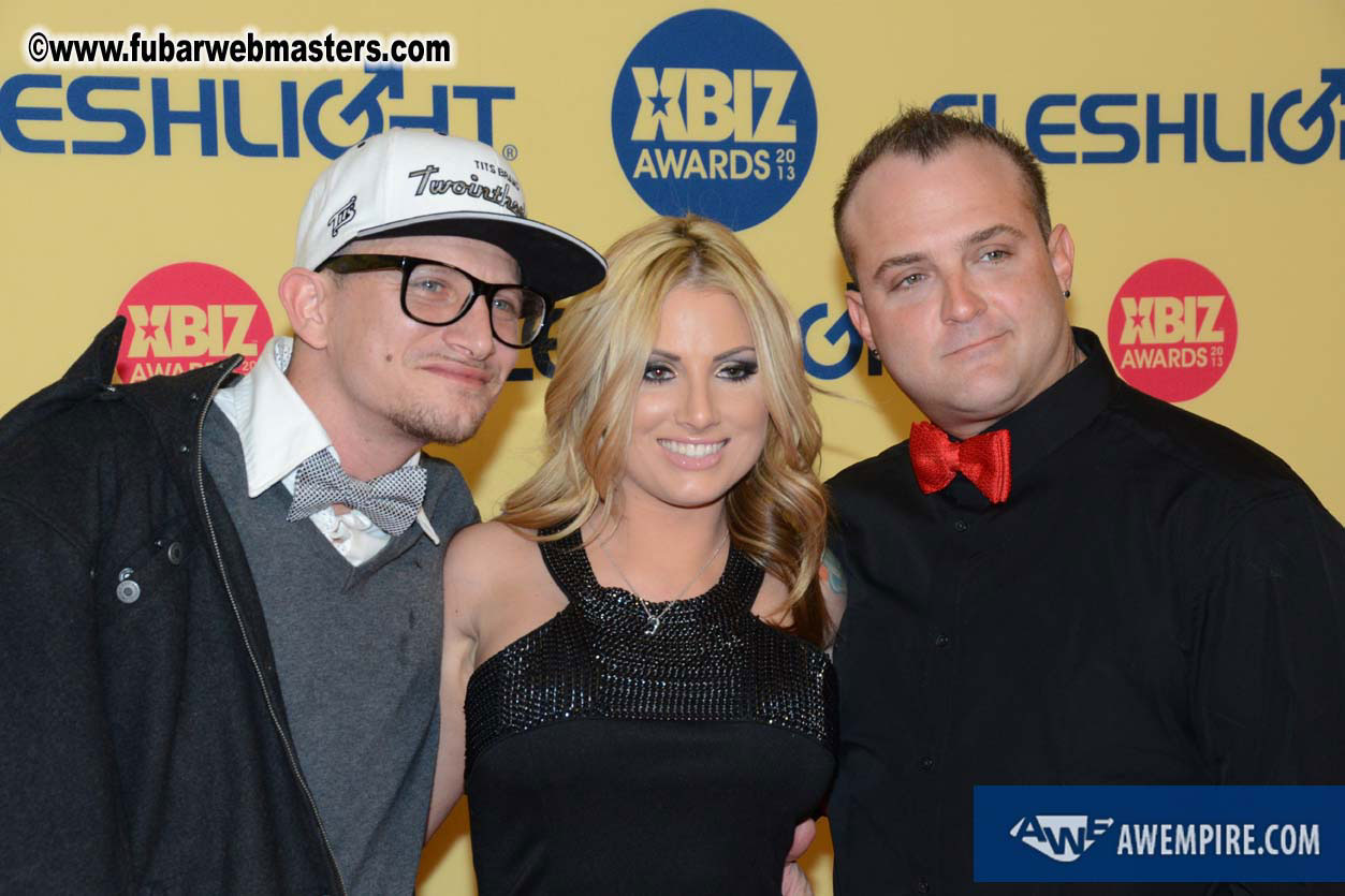 XBIZ Awards 2013