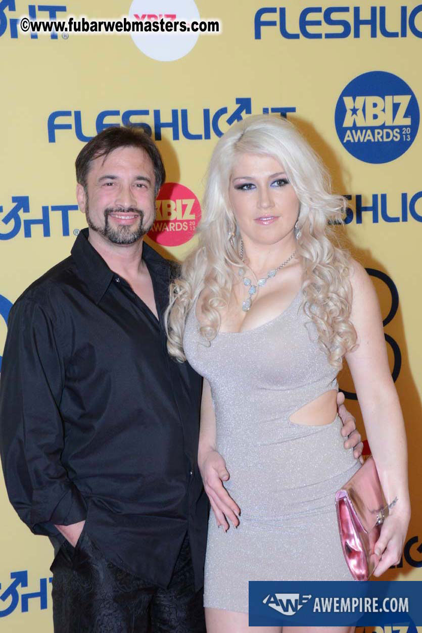 XBIZ Awards 2013