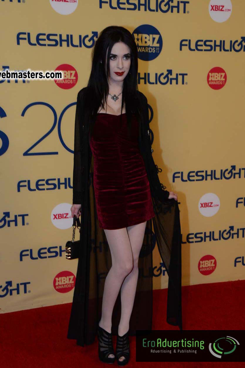 XBIZ Awards 2013