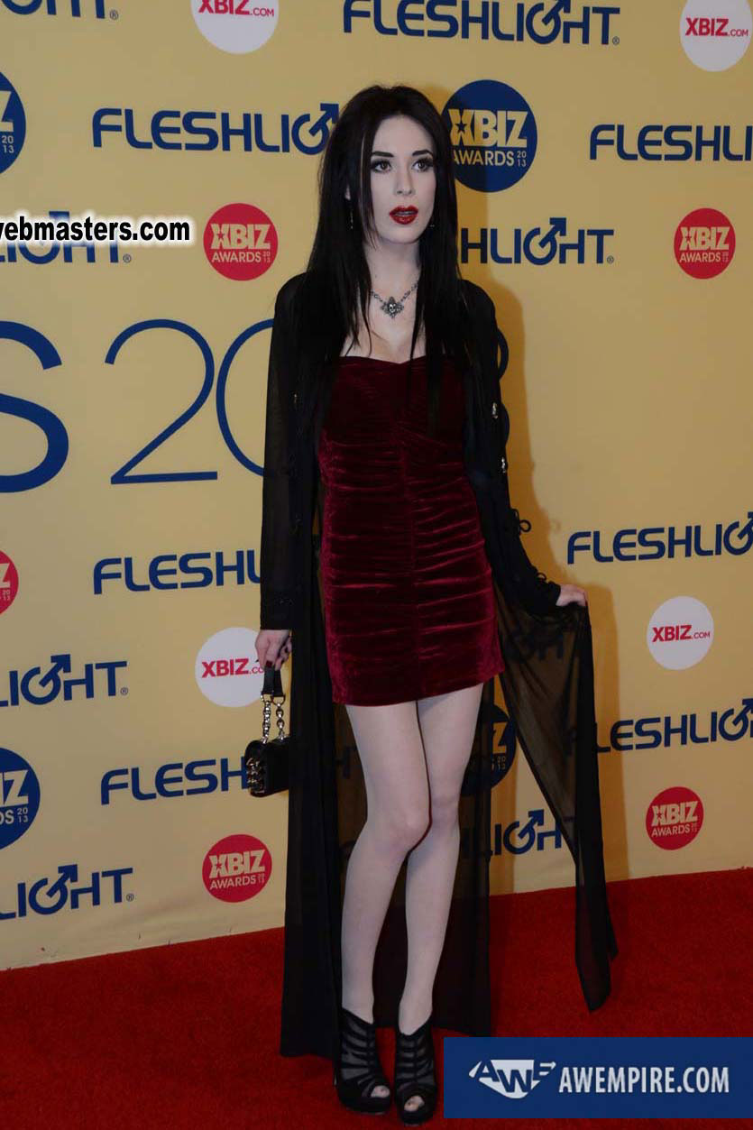 XBIZ Awards 2013