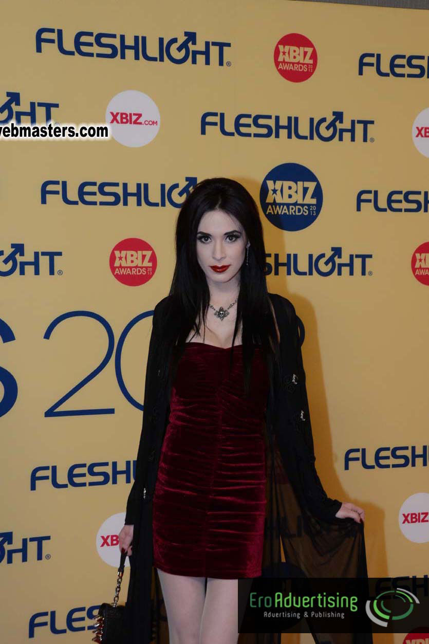 XBIZ Awards 2013