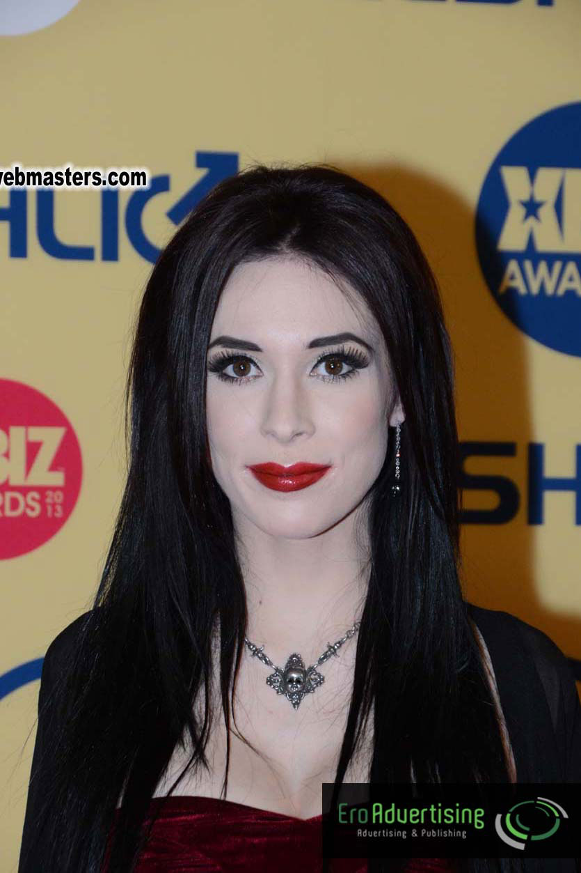 XBIZ Awards 2013