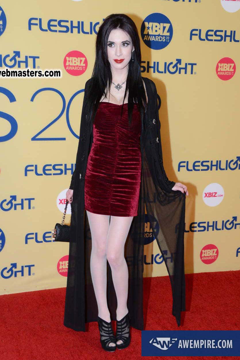 XBIZ Awards 2013