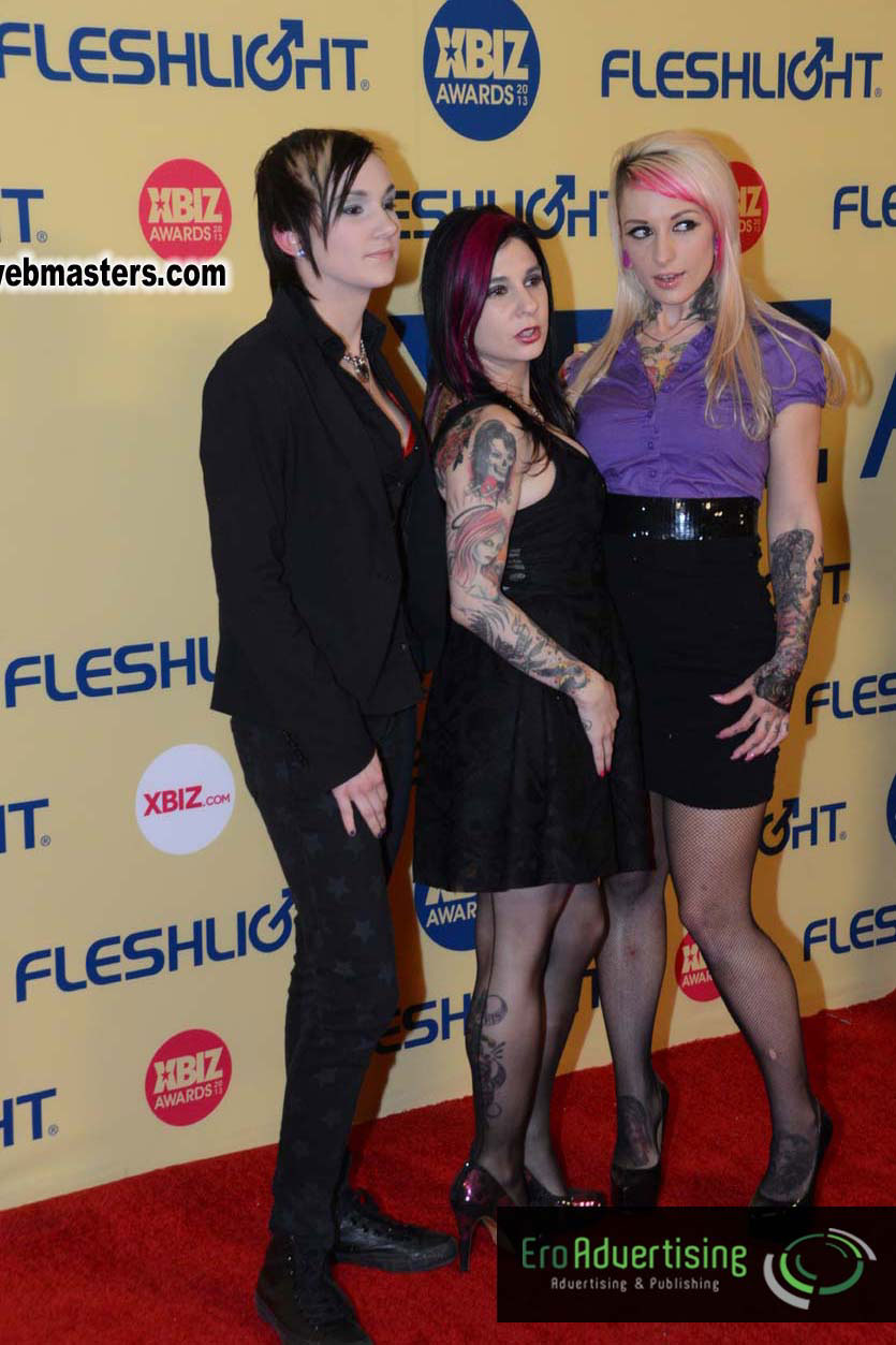 XBIZ Awards 2013