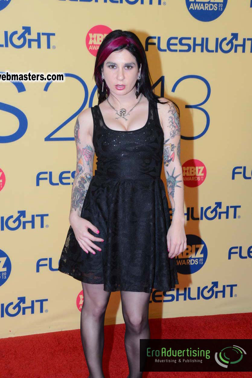 XBIZ Awards 2013