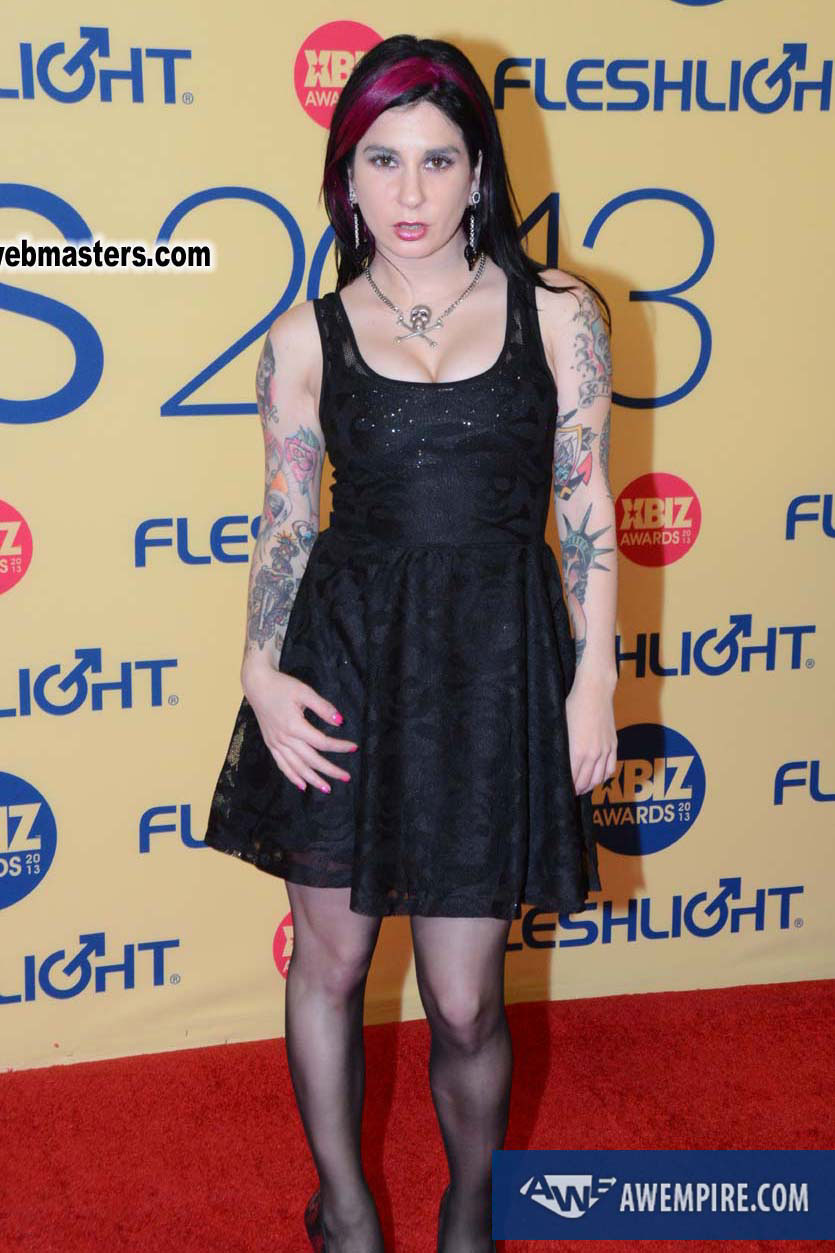 XBIZ Awards 2013