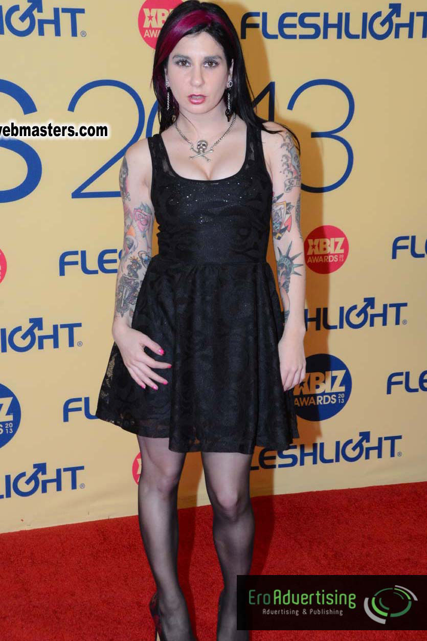 XBIZ Awards 2013