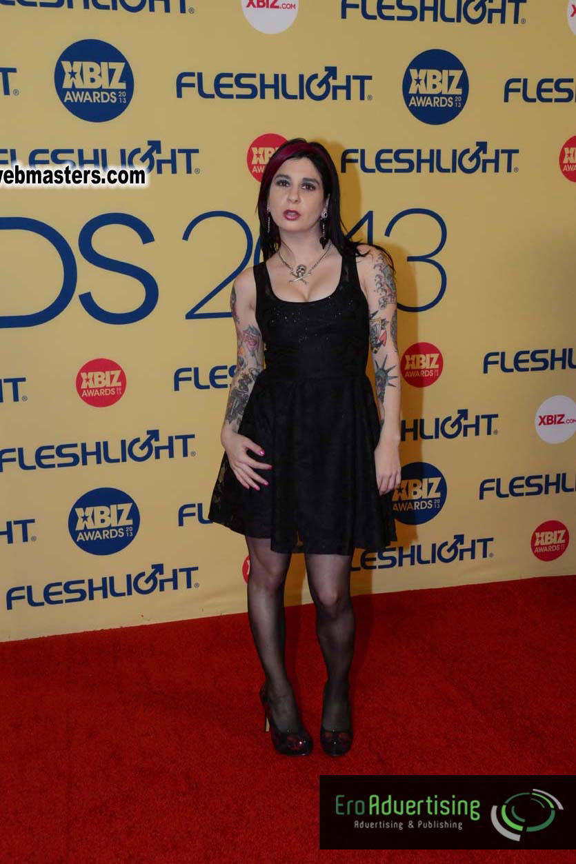 XBIZ Awards 2013