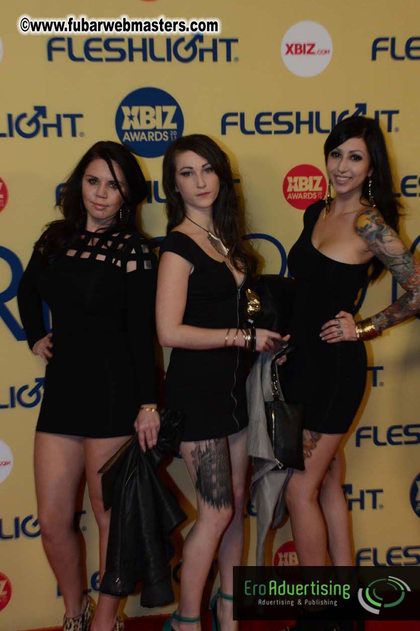 XBIZ Awards 2013