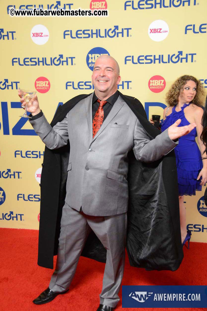 XBIZ Awards 2013