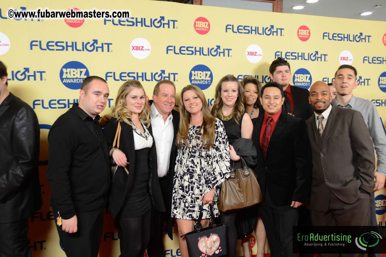 XBIZ Awards 2013