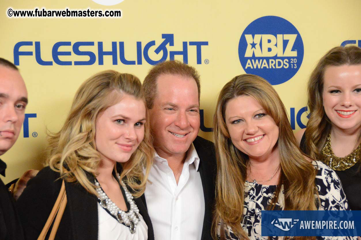 XBIZ Awards 2013