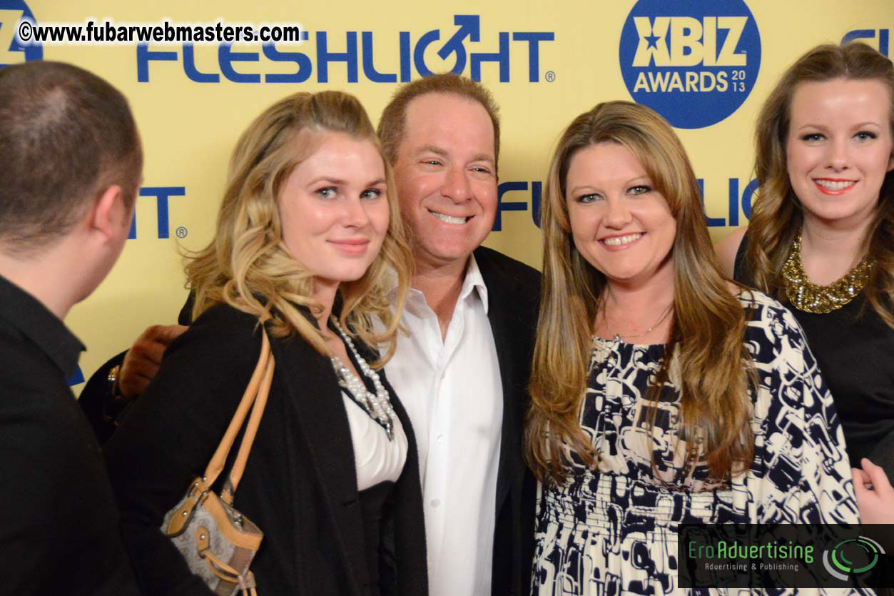 XBIZ Awards 2013