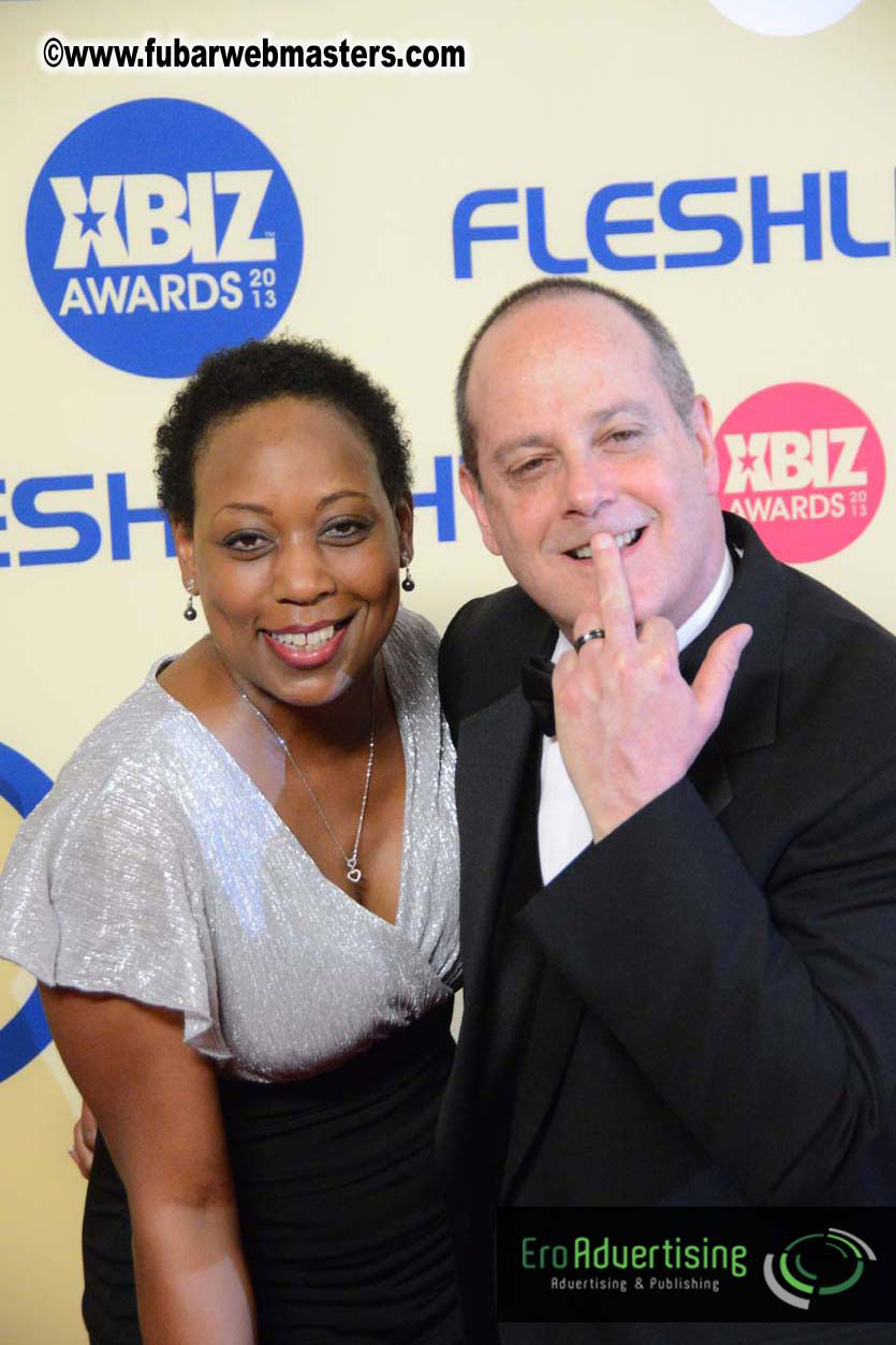 XBIZ Awards 2013