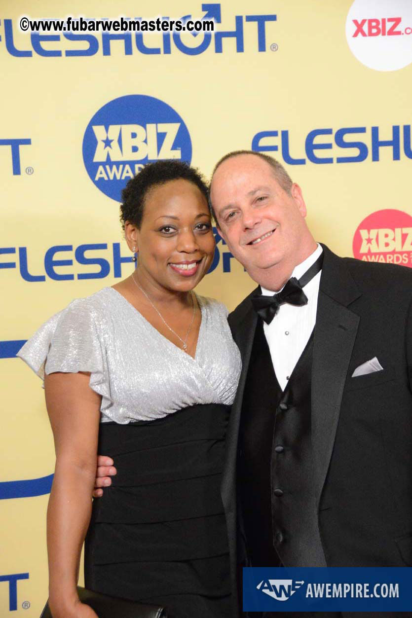 XBIZ Awards 2013