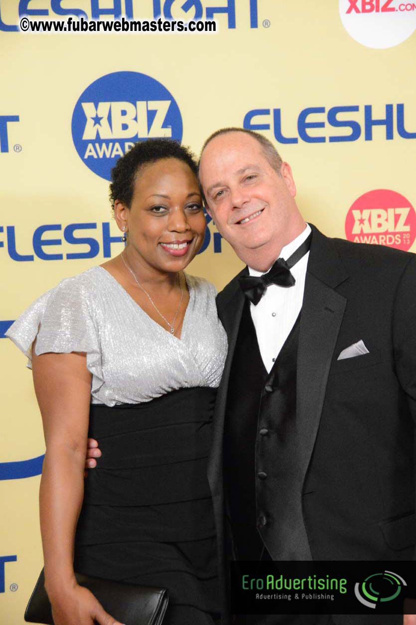 XBIZ Awards 2013