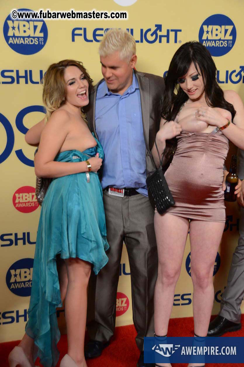 XBIZ Awards 2013